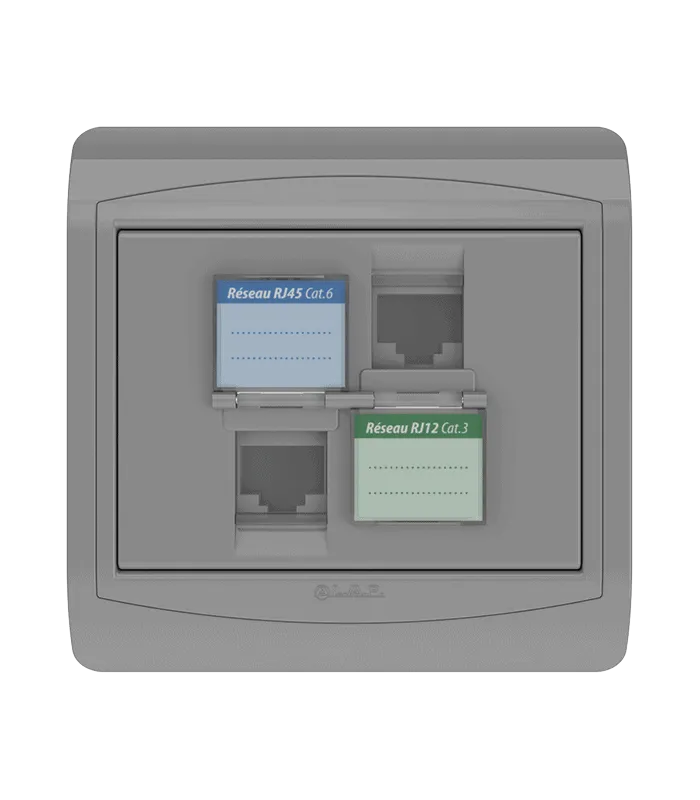 Double prise RJ45 CAT.6 + Prise RJ12 CAT.3 + obturateurs