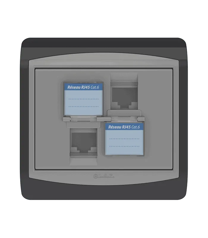 Double prise RJ45 CAT.6 + obturateurs