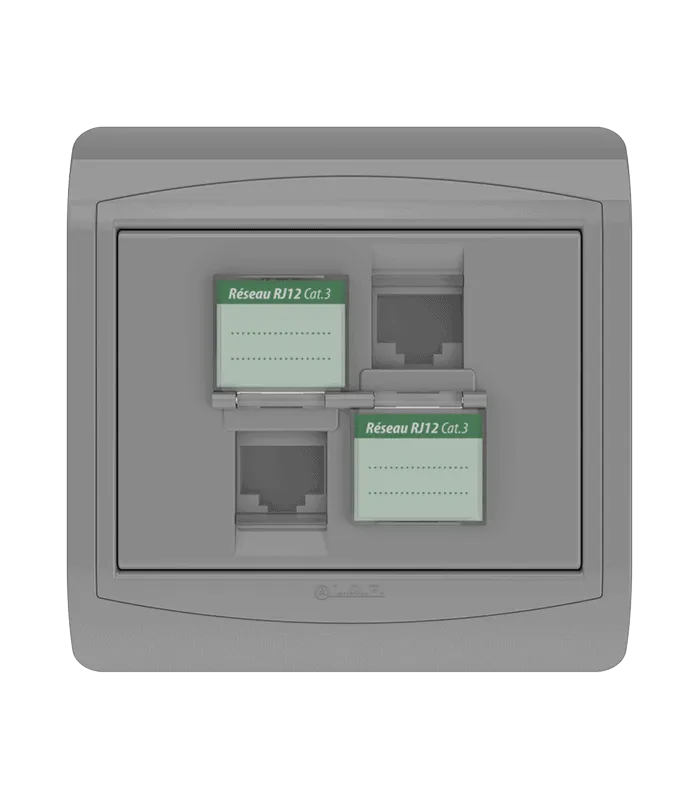 Double prise RJ12 CAT.3 + obturateurs