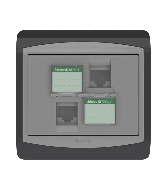 Double prise RJ12 CAT.3 + obturateurs
