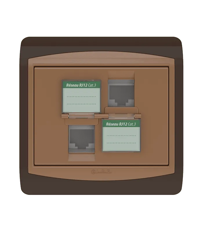 Double prise RJ12 CAT.3 + obturateurs