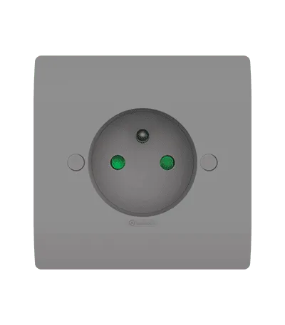 Prise de courant 2P + T