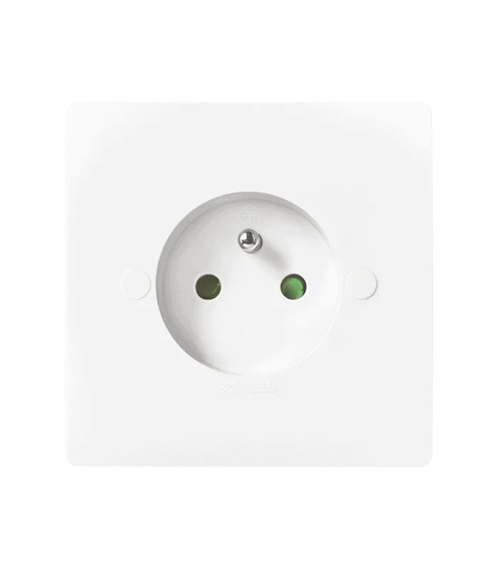 Prise de courant 2P + T