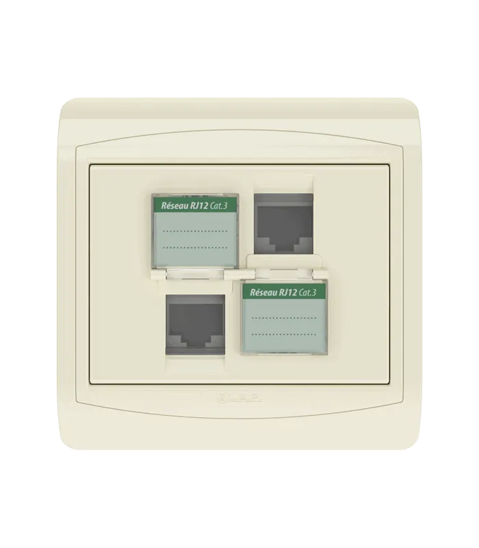 Double prise RJ12 CAT.3 + obturateurs